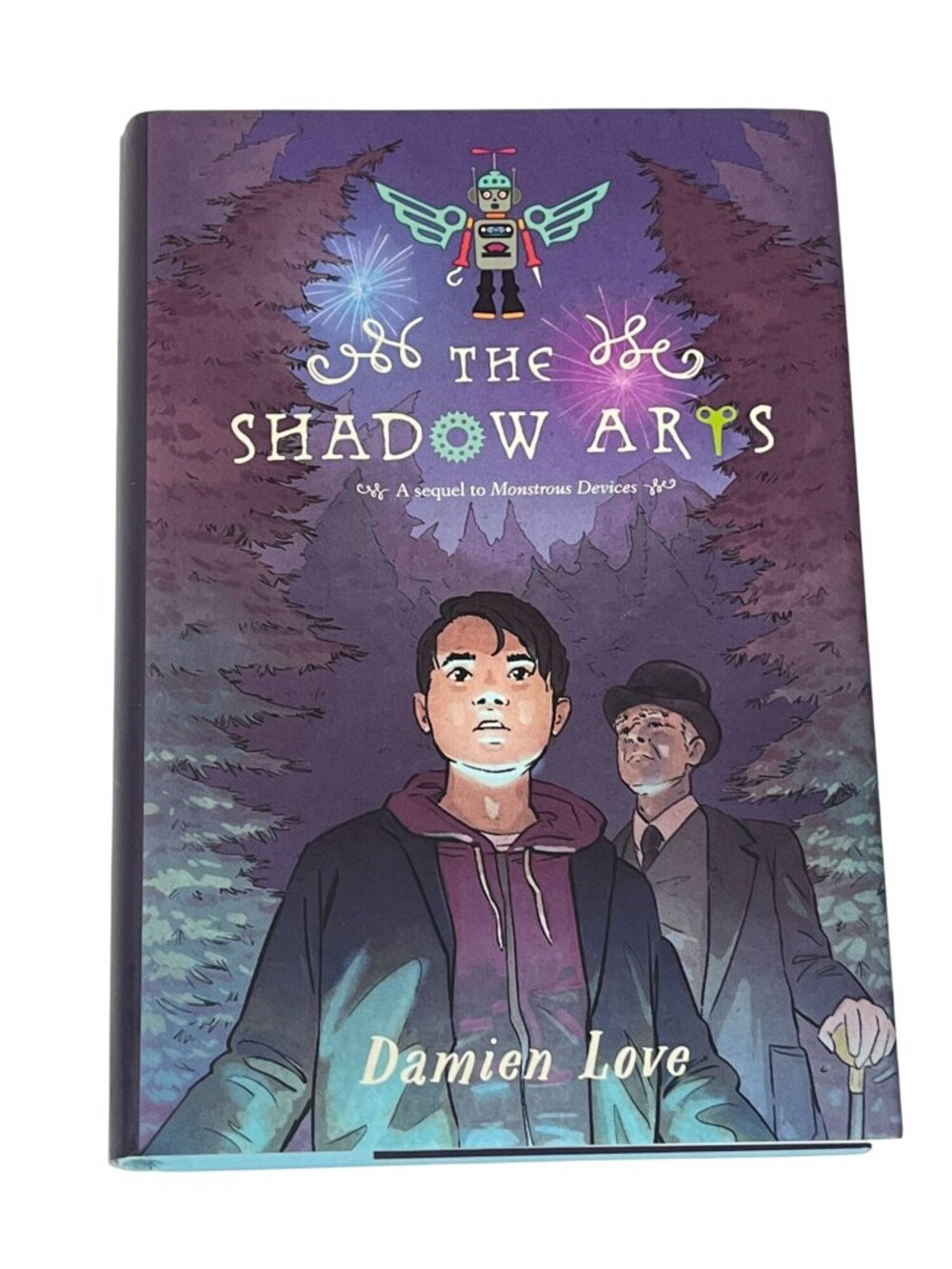 The Shadow Arts Damien Love Hardcover YA Fantasy Magic Adventure Novel